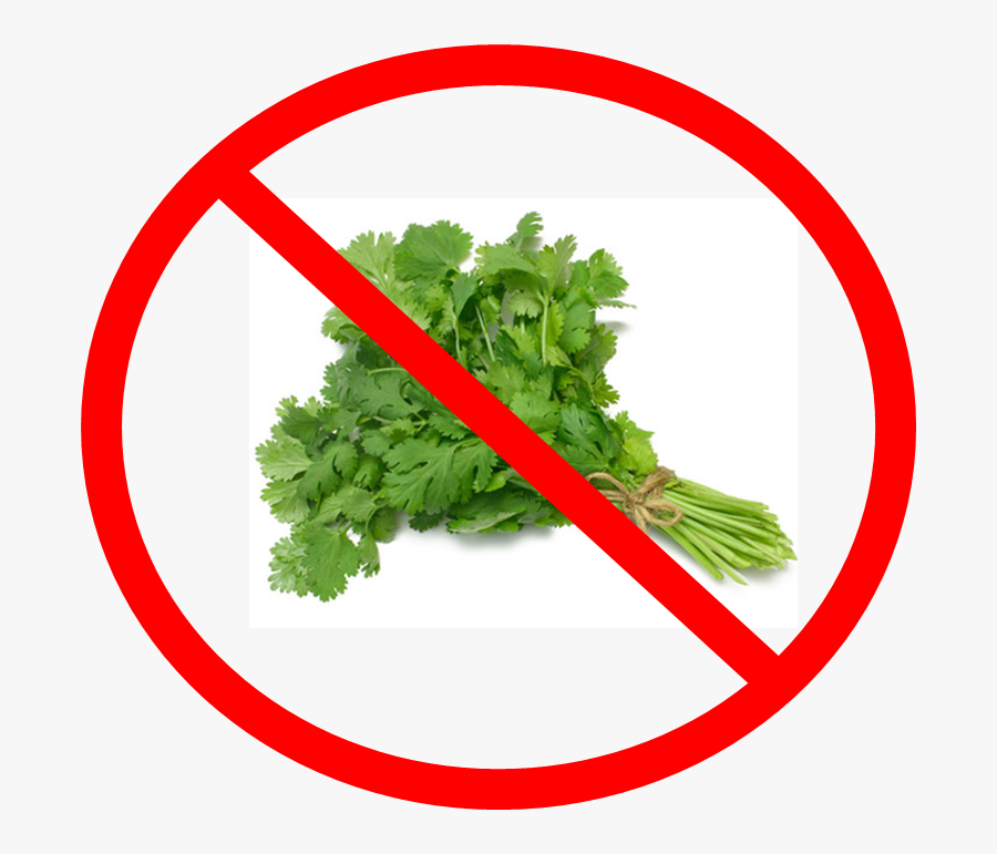 Say No To Cilantro - Coriander Leaves, Transparent Clipart