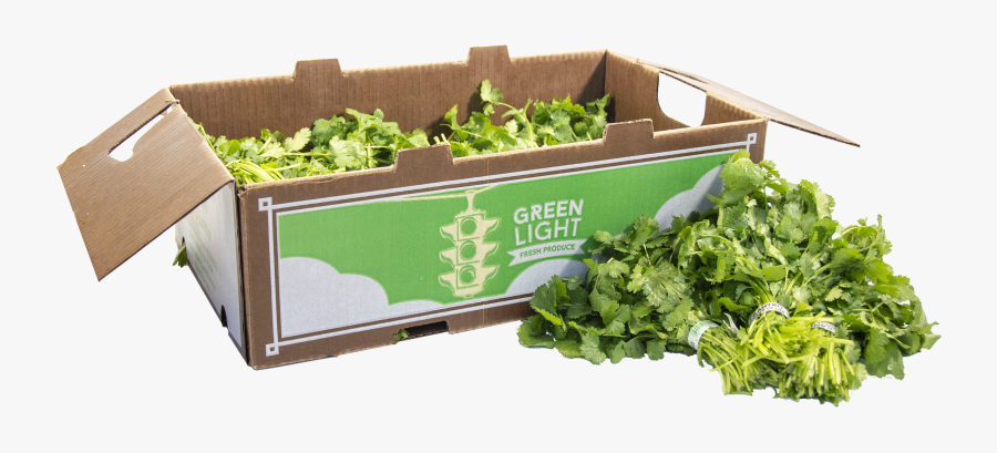 Spring Greens, Transparent Clipart