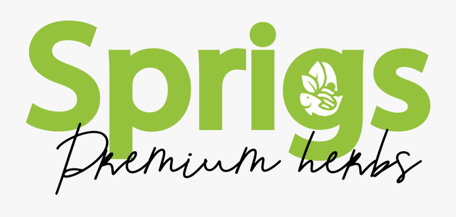 Graphic Design, Transparent Clipart