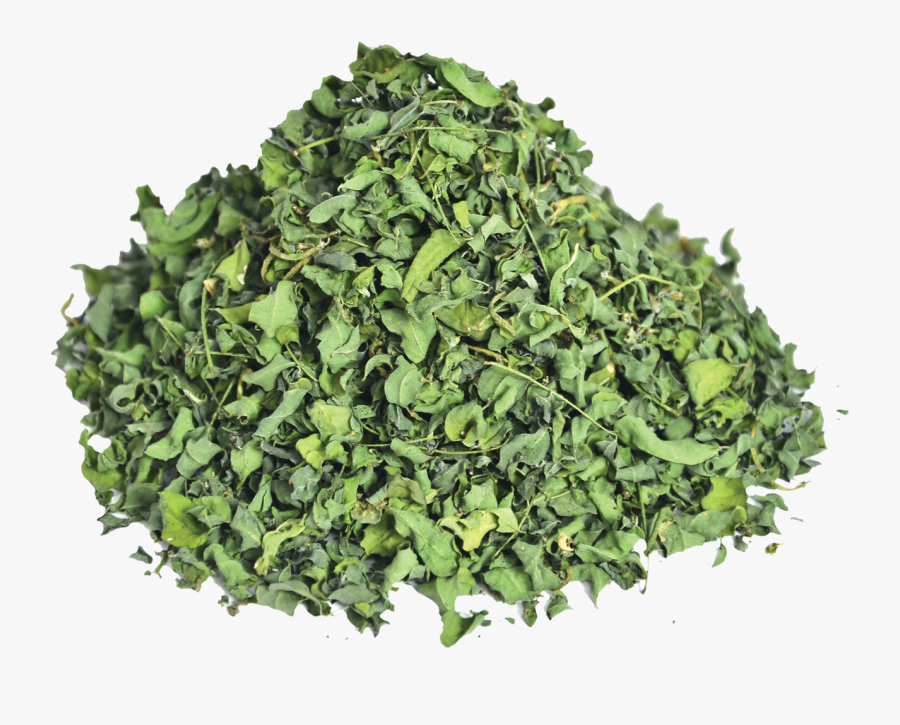 Transparent Indigo Plant Png - Hair Coloring, Transparent Clipart