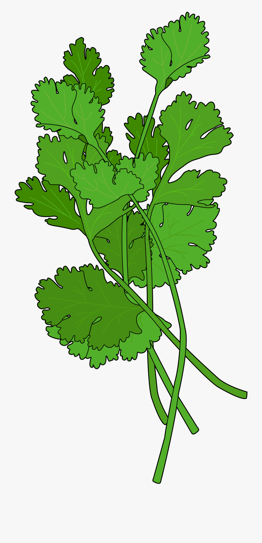 Clip Art, Transparent Clipart