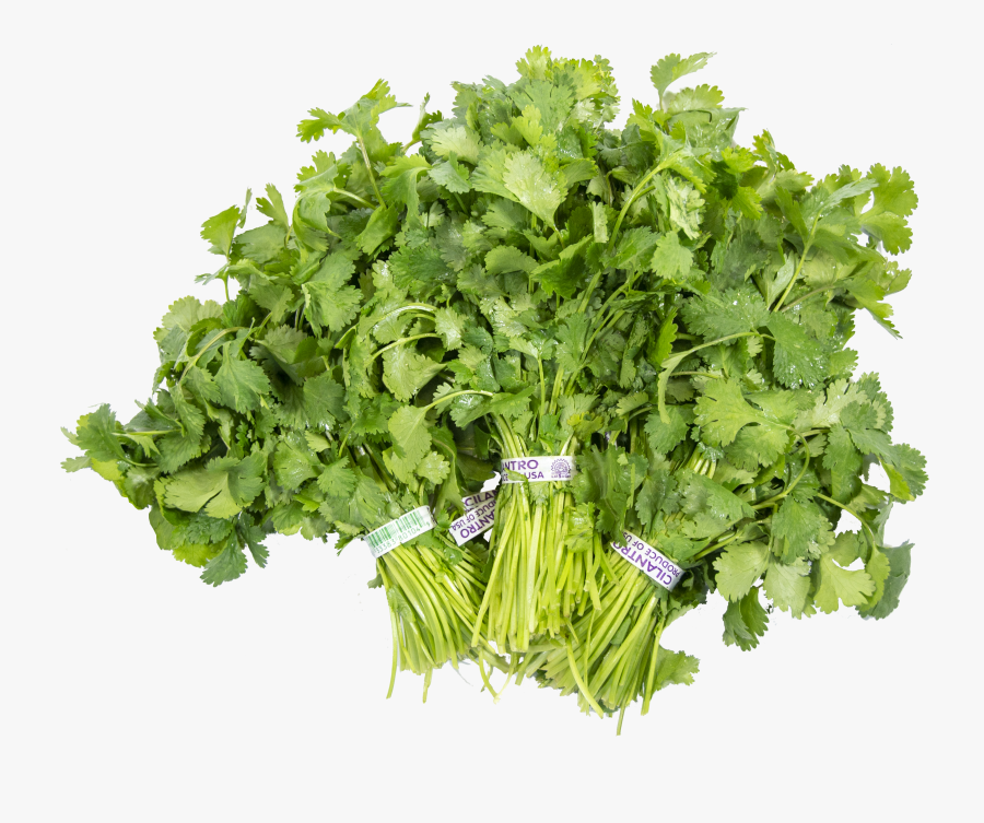 Parsley, Transparent Clipart