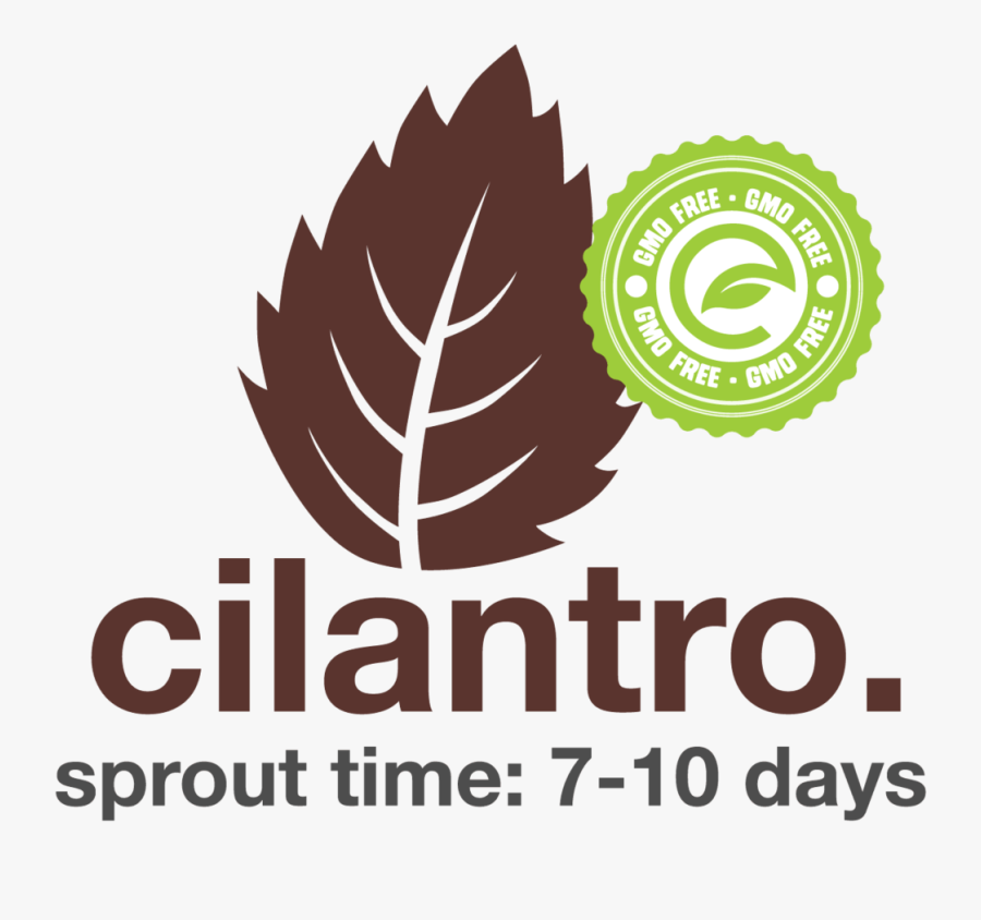 Tube Map Art , Png Download - Esv Bible, Transparent Clipart