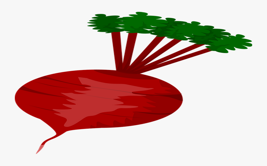 Beet Clip Art, Transparent Clipart