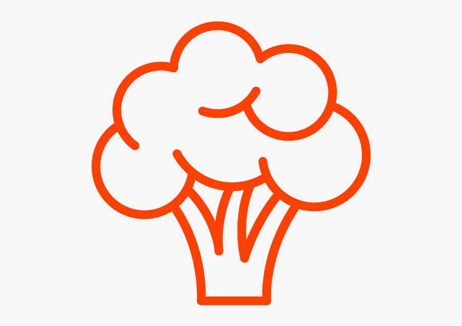 Cilantro, Transparent Clipart