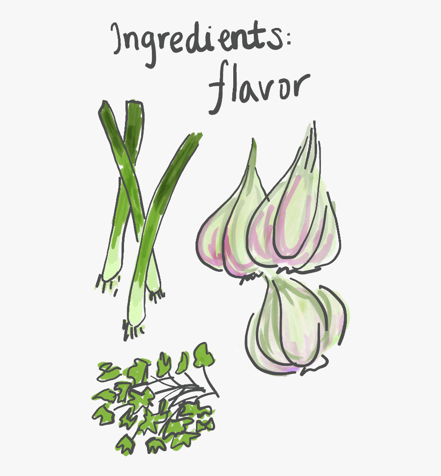 Transparent Green Onion Png - Green Onion Draw , Free Transparent