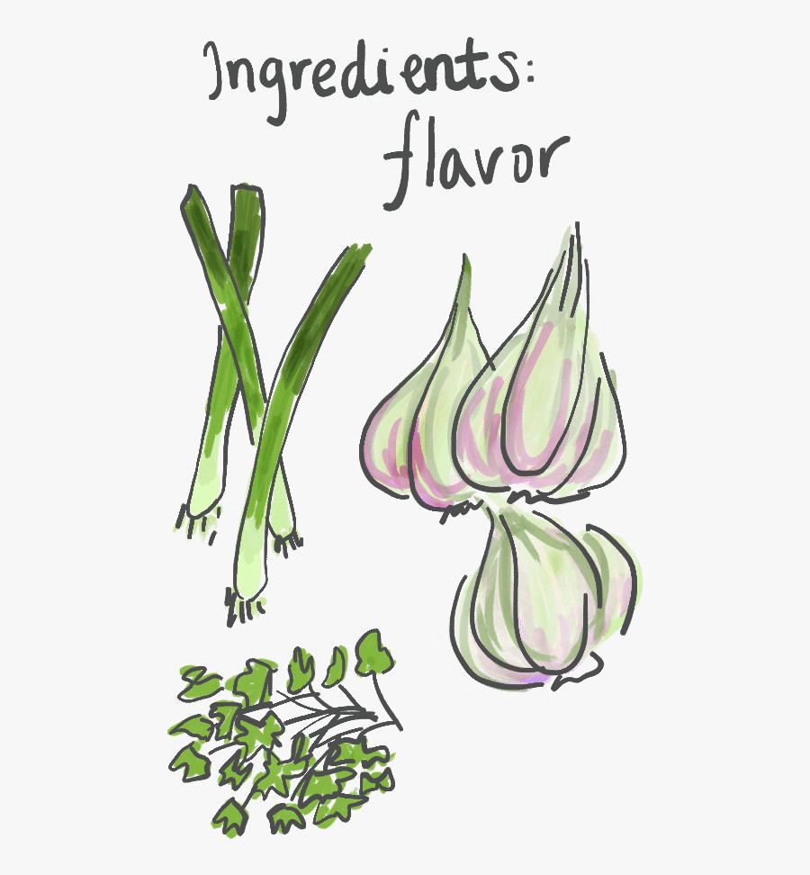 Transparent Green Onion Png - Green Onion Draw, Transparent Clipart