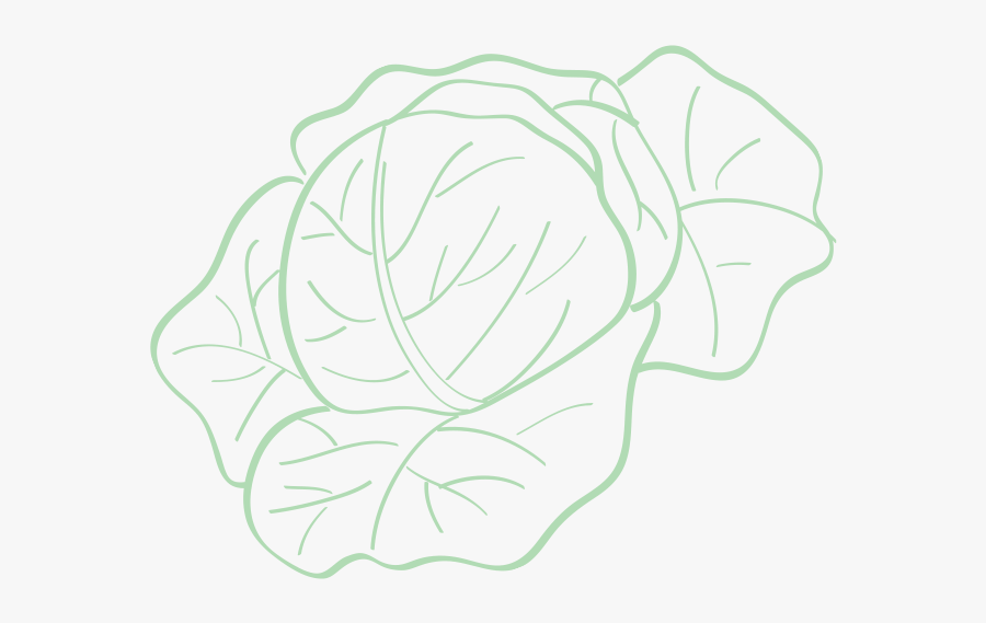 Line Art, Transparent Clipart