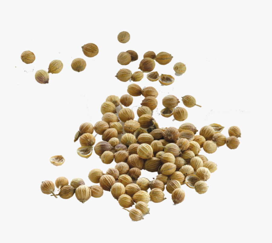 This Png File Is About Coriander , Seed - Coriander Seeds Png, Transparent Clipart
