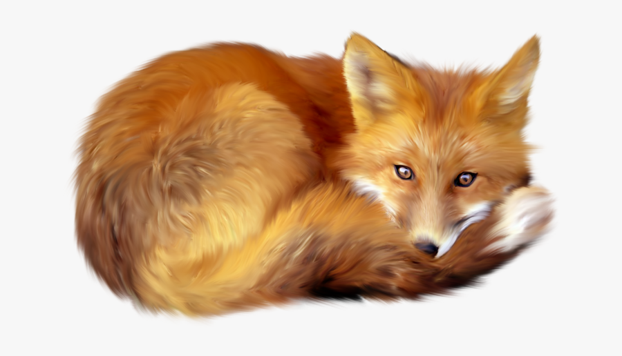 Red Fox Clip Art - Fox Png Transparent, Transparent Clipart