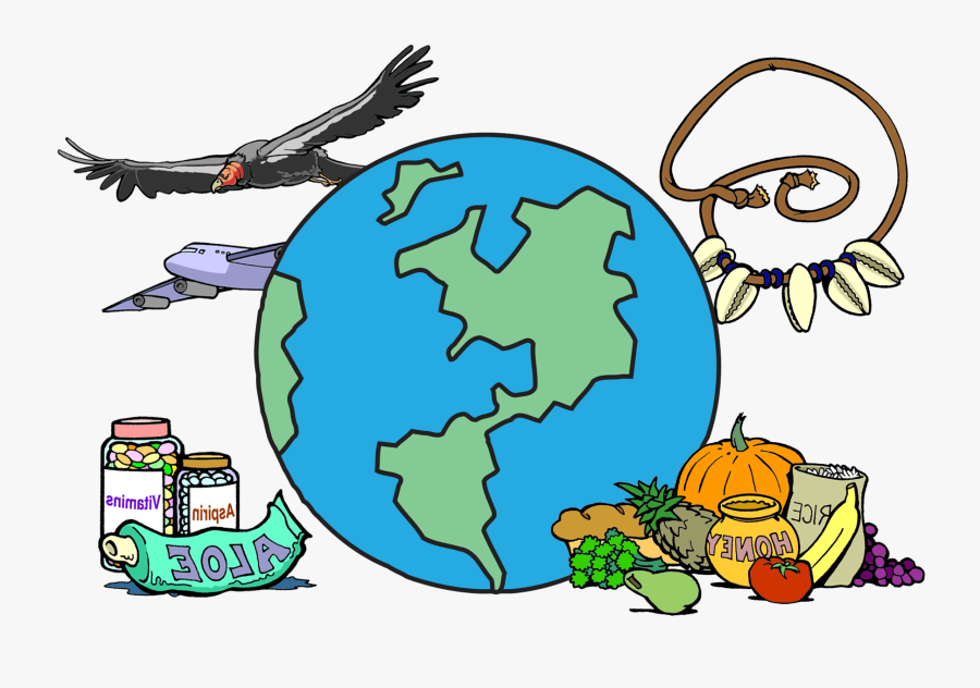 Clipart Of Benefits, Benefit And Biodiversity - Science For The People Drawing, Transparent Clipart