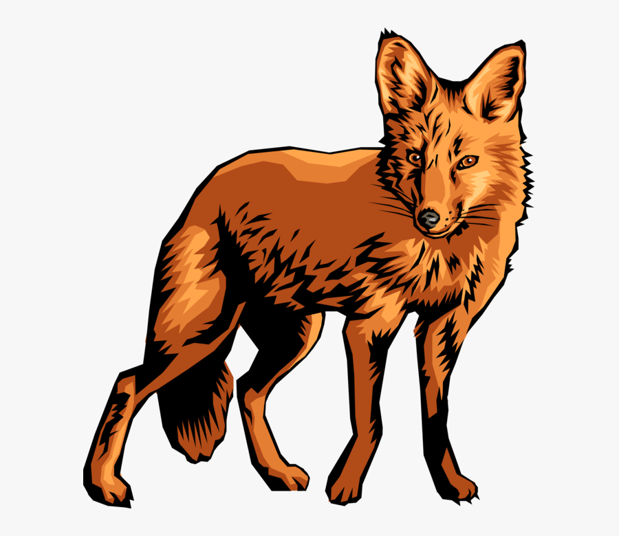 Vector Illustration Of Omnivorous Mammal Red Fox On - Coyote Cartoon, Transparent Clipart