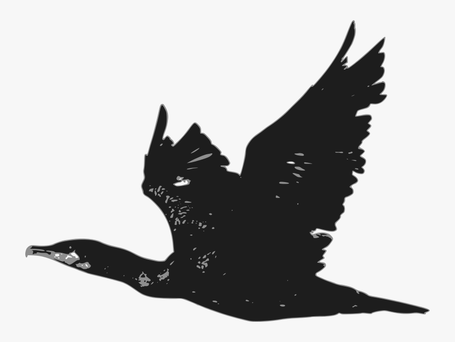 Portable Network Graphics, Transparent Clipart