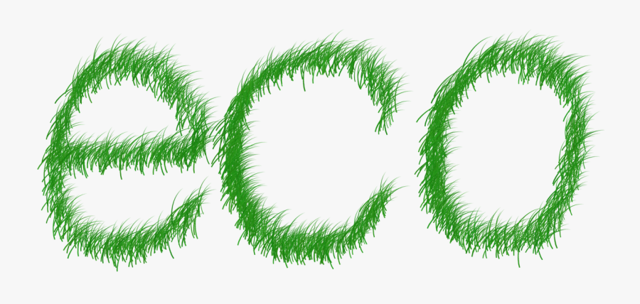 Echo Ecology Green Free Picture - Significado De Ecologia, Transparent Clipart