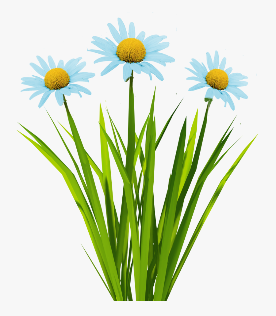 New Textures Billboard Grass, Transparent Clipart