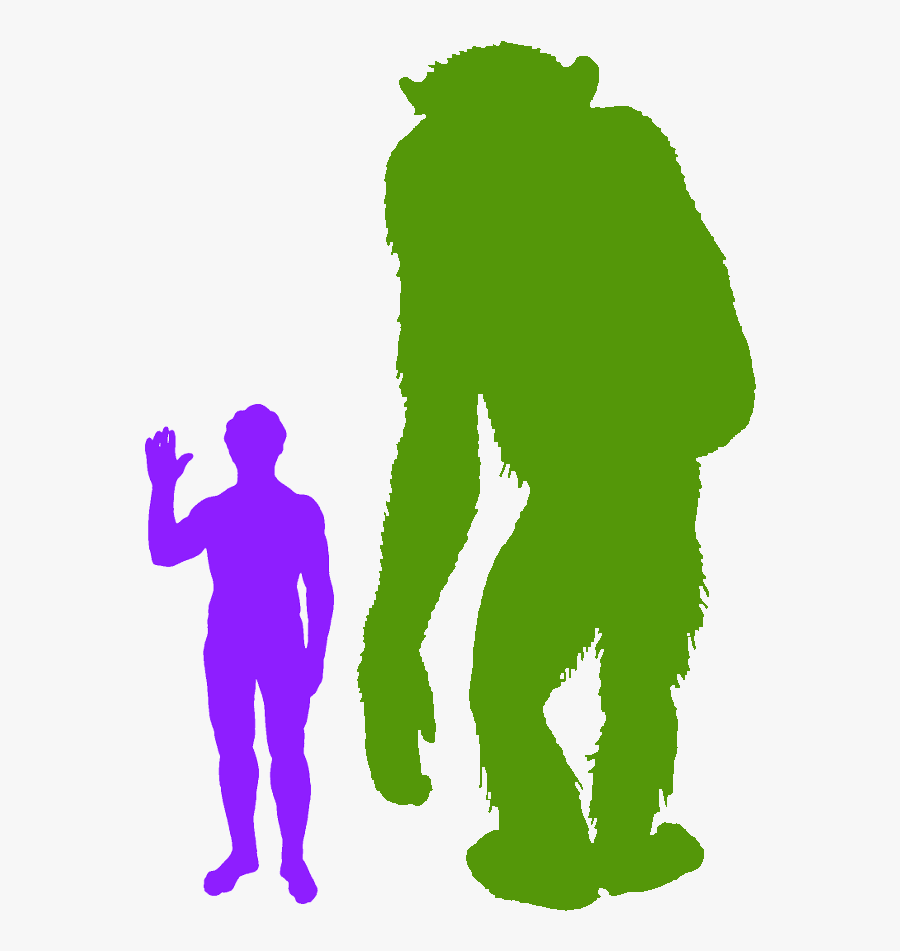 The Real King Kong - Biggest Owl Compared To Human, Transparent Clipart