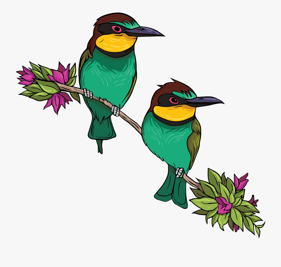 Bird, Transparent Clipart