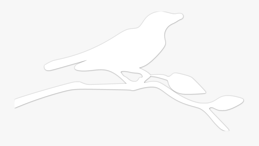 Beak Line Art Drawing - Perching Bird, Transparent Clipart