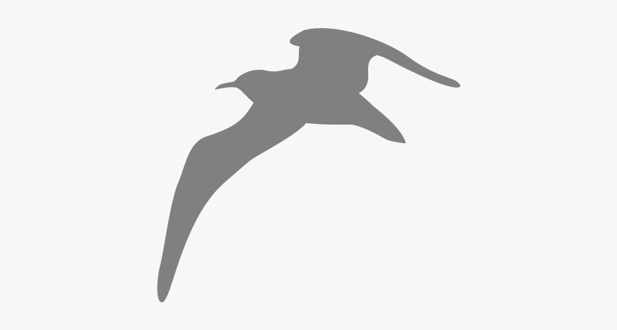 Bird Gulls Computer Icons Kittiwake - White Seagull Png, Transparent Clipart