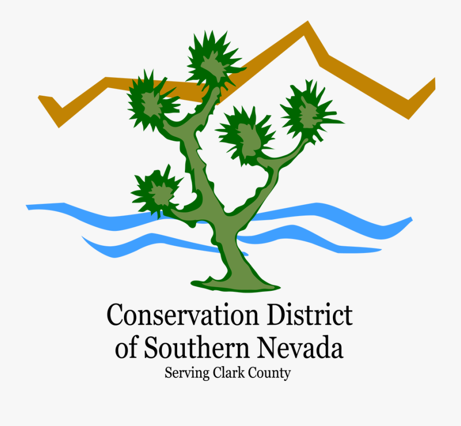 Graphic Design, Transparent Clipart