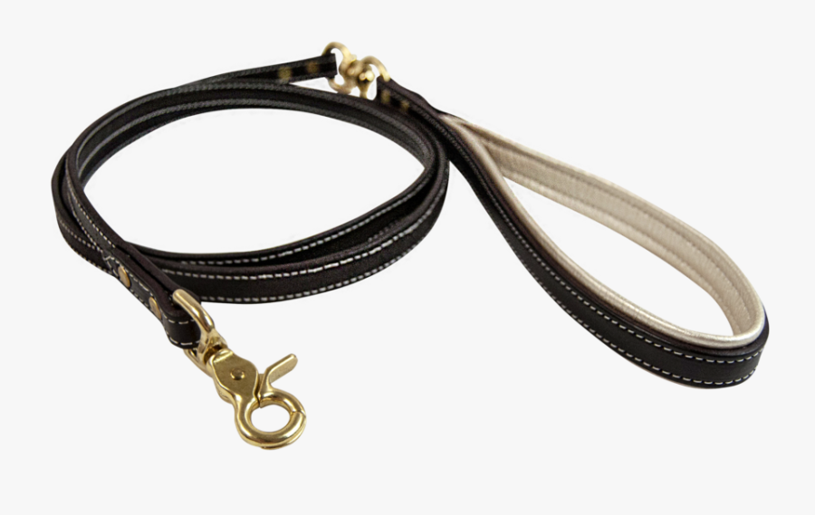 Dog Leash Png - Leash, Transparent Clipart