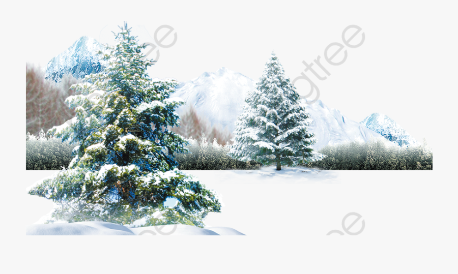 Winter Scene Tree Snow - Pine Tree Snow Png, Transparent Clipart