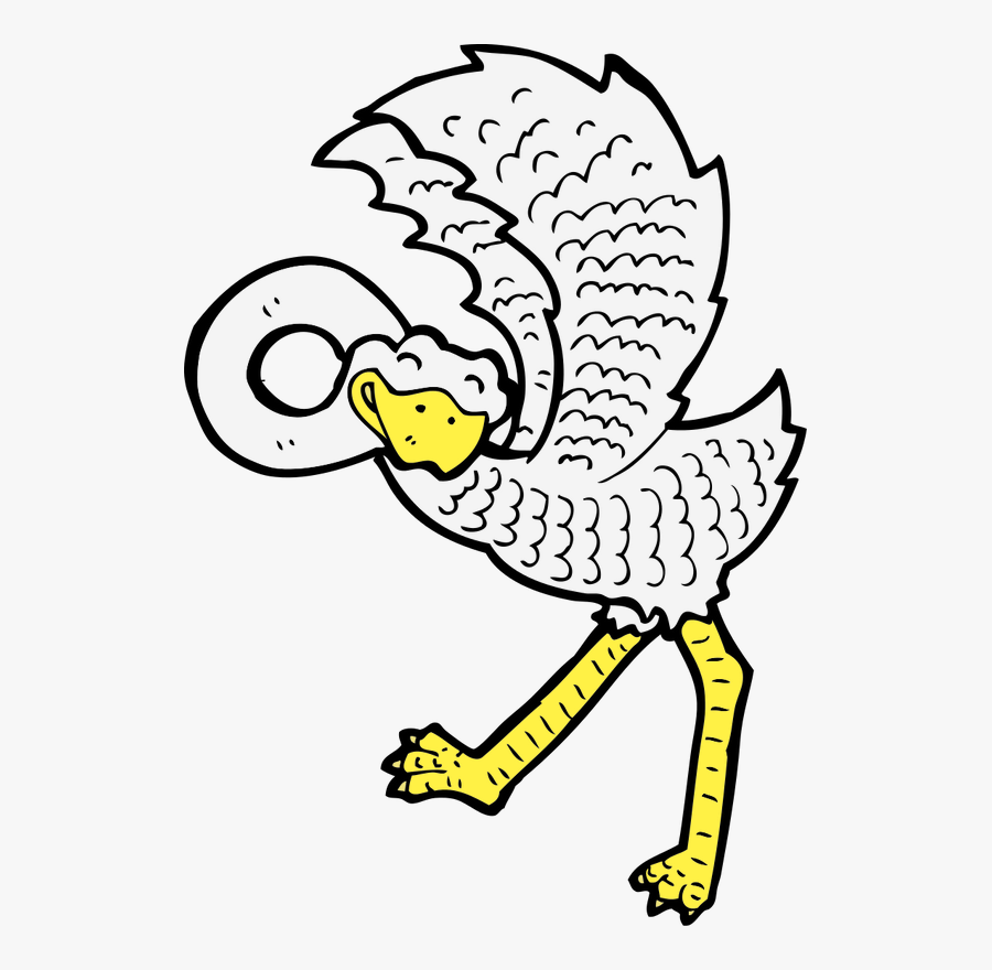 Common Ostrich, Transparent Clipart
