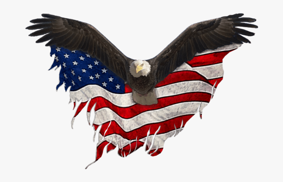Eagle Png Flag - Eagle United States Png, Transparent Clipart