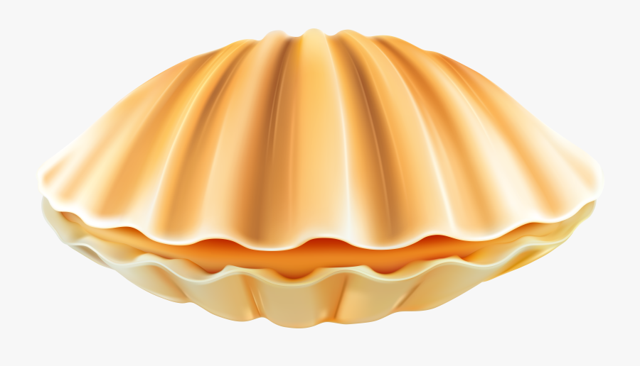 Clam Shell Png, Transparent Clipart