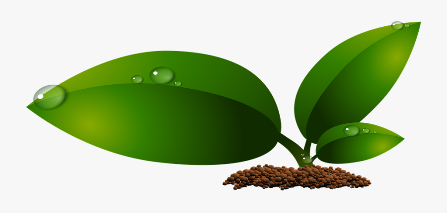 Leaf Embellishment Cliparts 18, Buy Clip Art - Imagenes Png De Hojas, Transparent Clipart