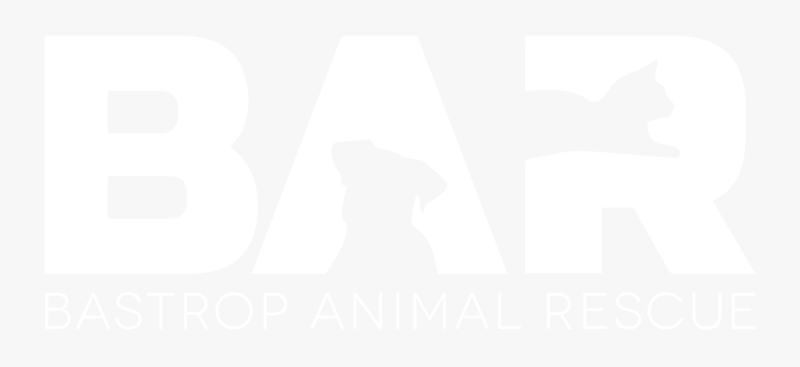 Transparent Dog And Cat Silhouettes Clipart - Poster, Transparent Clipart