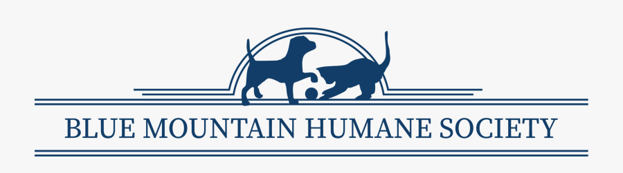 Dog, Transparent Clipart