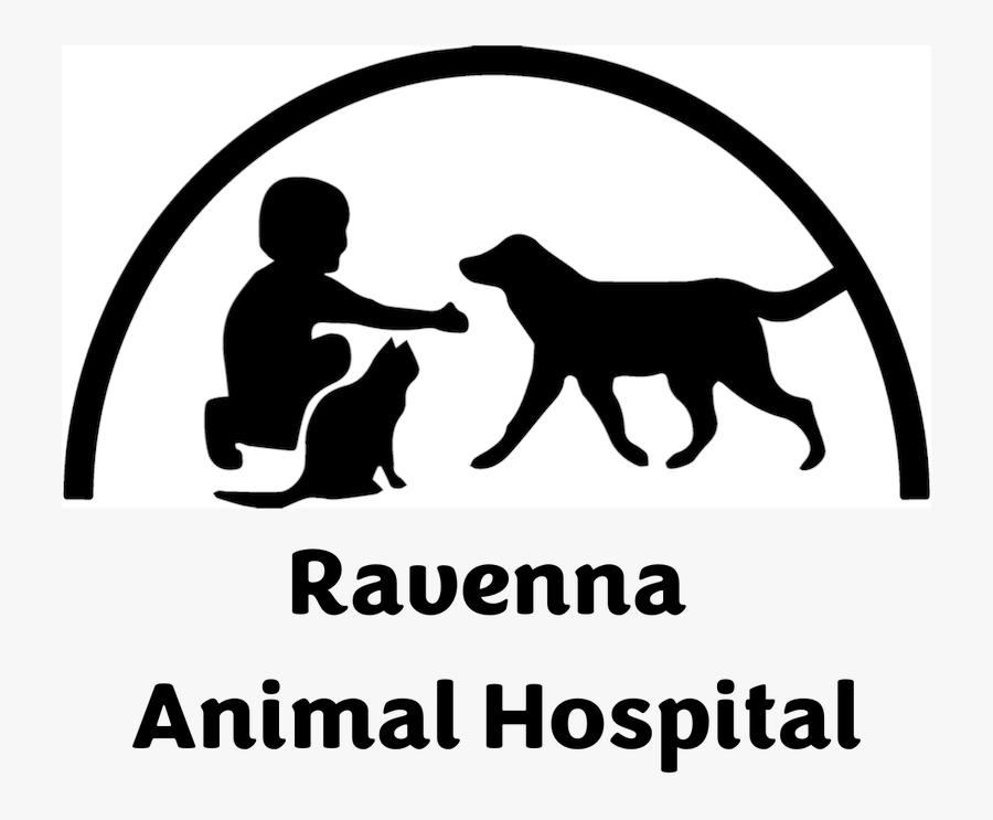 Silhouette, Transparent Clipart