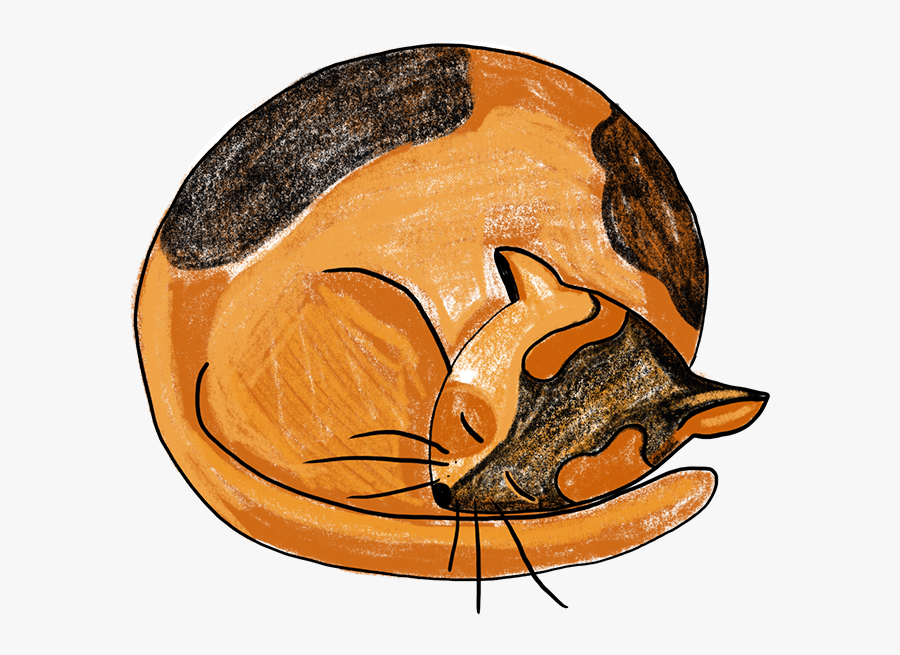 Sleeping Cat Procreate Sleeping Cat Creative Market - Illustration, Transparent Clipart