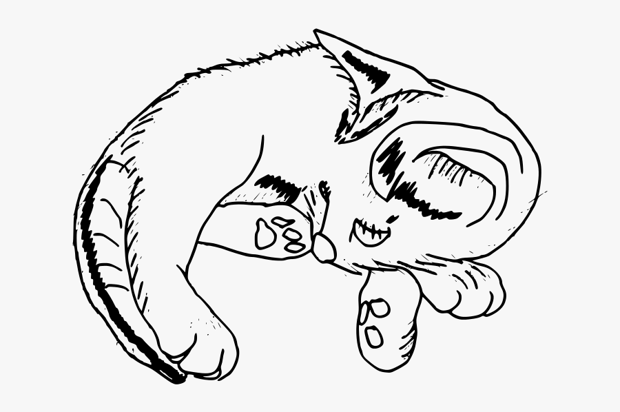 Sketch, Transparent Clipart