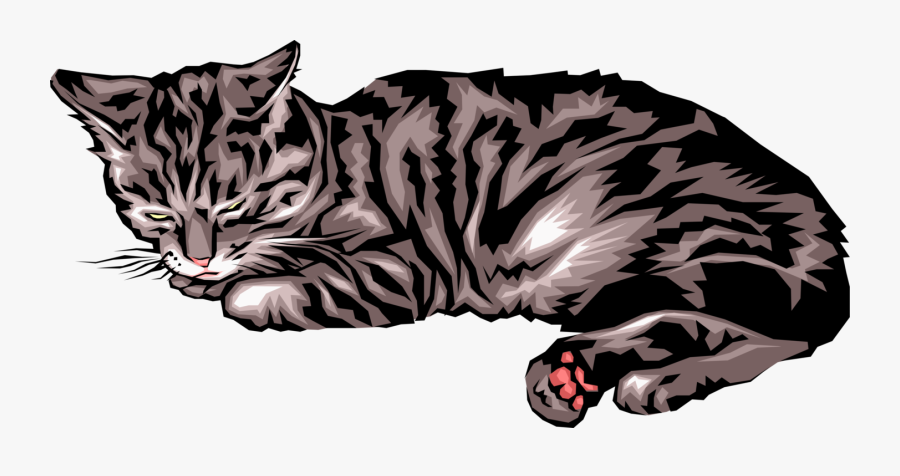 Vector Illustration Of Small Carnivore Domesticated - Vector Art Sleeping Cat, Transparent Clipart