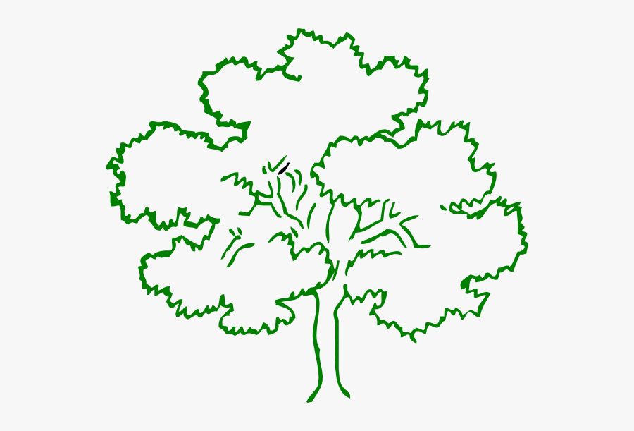 Oak Tree Green Outline Full Frame Clip Art - Outline Pictures Of Tree, Transparent Clipart