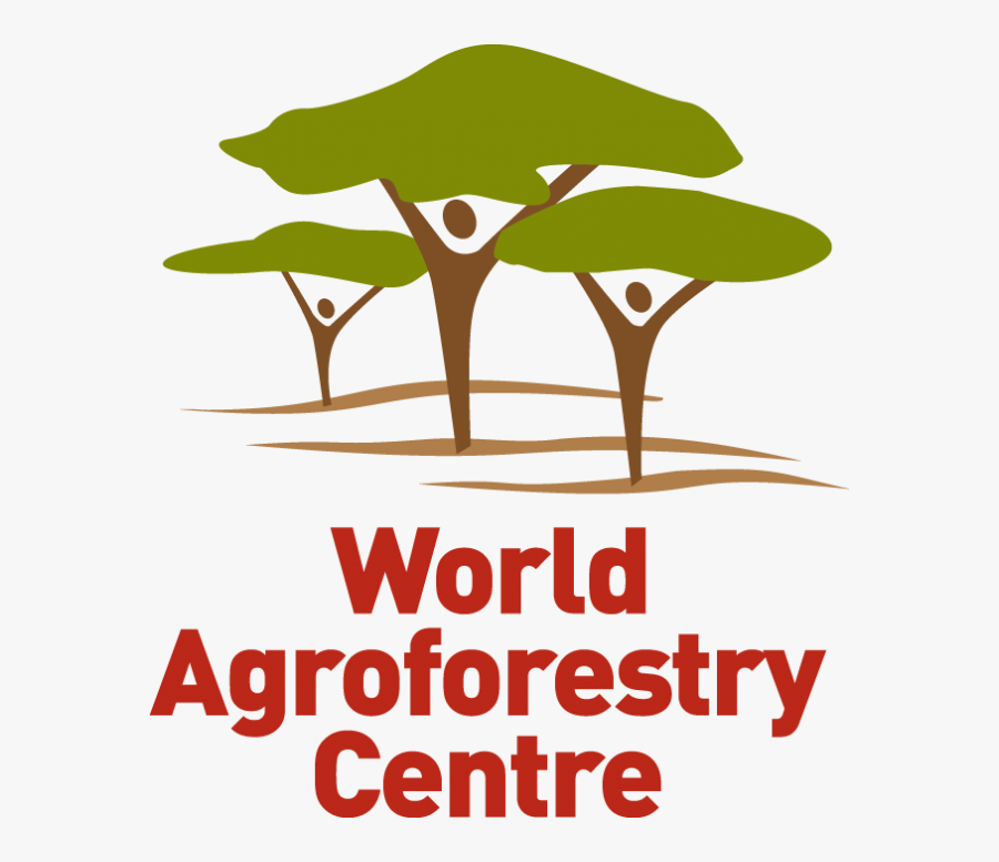Worldagroforestrycentre Logo - World Agroforestry Centre, Transparent Clipart