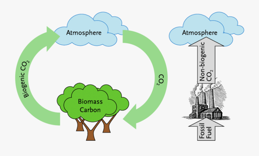 The Intergovernmental Panel On Climate Change Distinguishes - Slow Carbon Cycle, Transparent Clipart