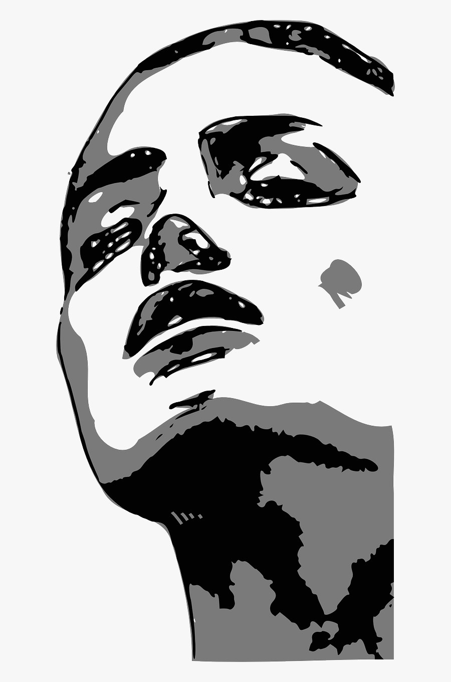 Woman Face Female Free Picture - Illustration, Transparent Clipart