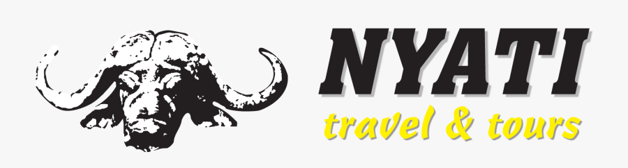 Graphic Design, Transparent Clipart