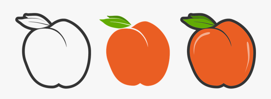 Peach, Fruit, The, Food, Mature, Peaches, Eat, Fresh - Peach Fruit Vector, Transparent Clipart