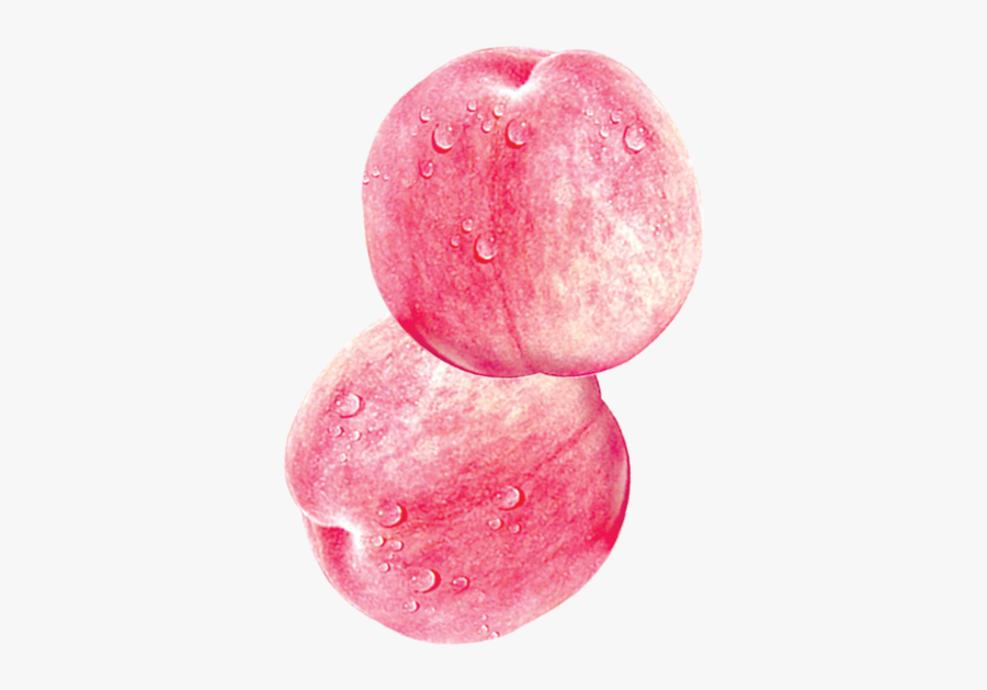 Plum, Transparent Clipart