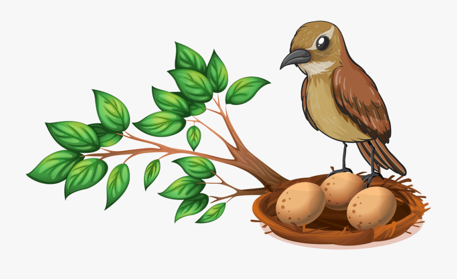 Lenid Day Care - Bird With Nest Clipart, Transparent Clipart