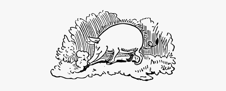 Vector Image Of Wild Pig In Nature - Gambar Babi Hutan Hitam Putih, Transparent Clipart