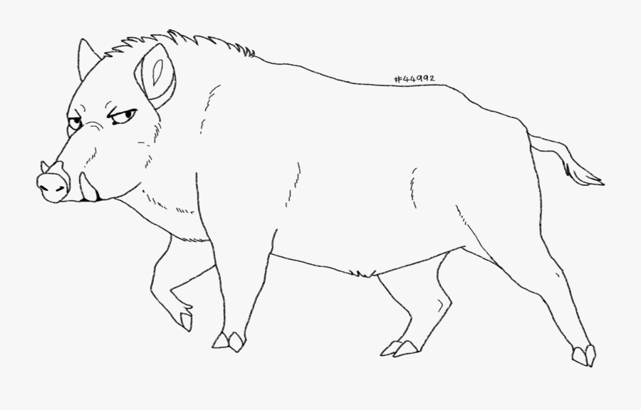 Wild Boar Drawing Png, Transparent Clipart