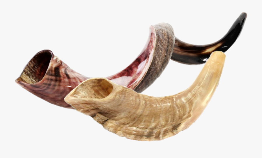 Frases De Rosh Hashaná 5780, Transparent Clipart