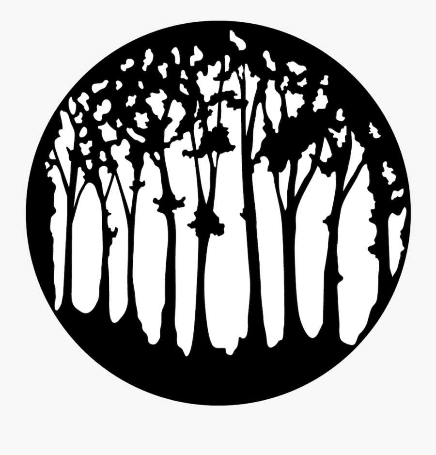 Apollo Slender Forest - Illustration, Transparent Clipart