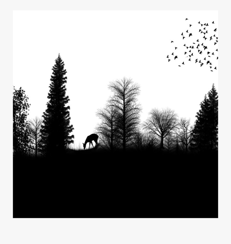 Silhouette Drawing Forest - Forest Silhouette Png, Transparent Clipart