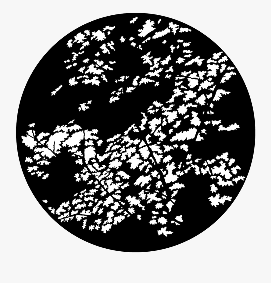 Apollo Design 1134 Foliage Forest 2 Steel Pattern - Foliage Gobo, Transparent Clipart